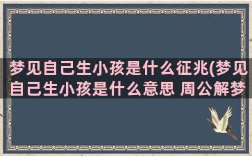 梦见自己生小孩是什么征兆(梦见自己生小孩是什么意思 周公解梦)